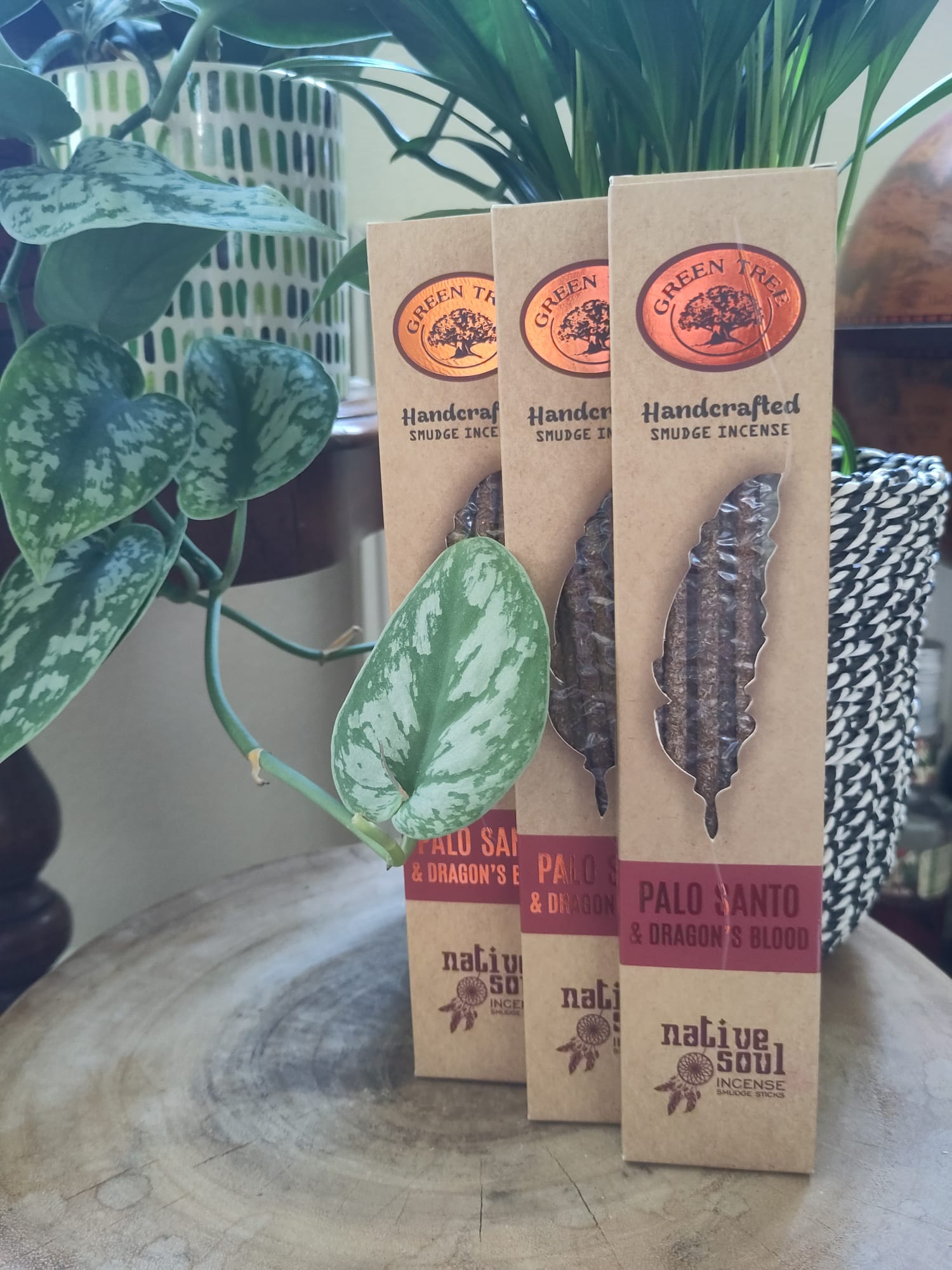 Wat is Witte Salie? - Palo santo / Heilighout